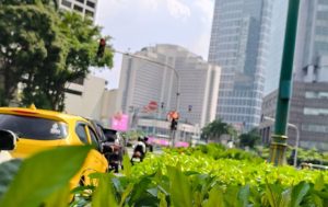 kawasan bundaran HI Jakarta